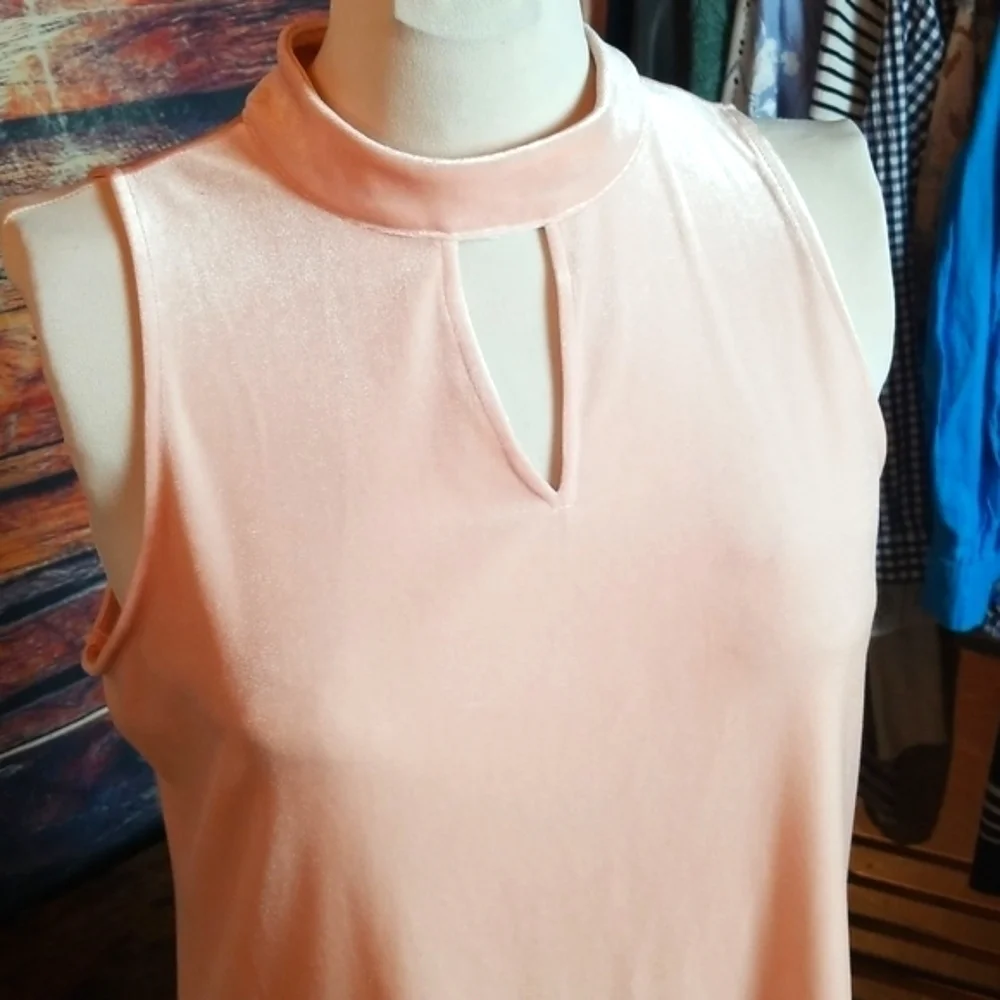 WORTHINGTON | Pink Velvety Sleeveless Dress